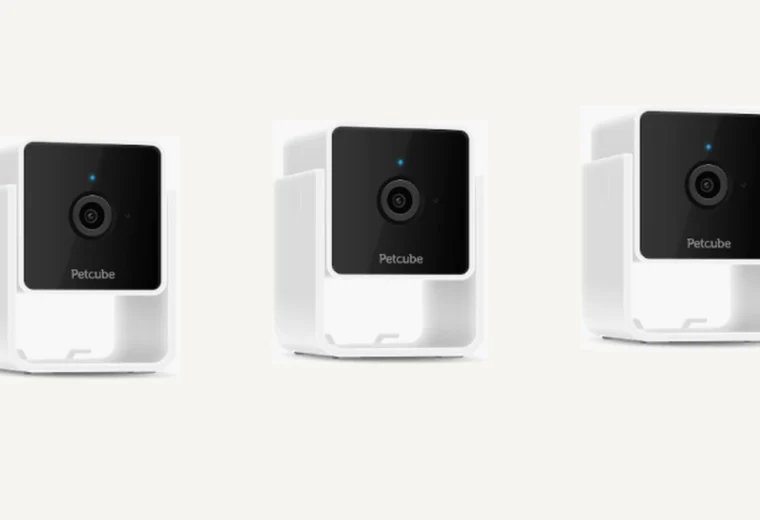 One, two and three Petcube camera setup comparison