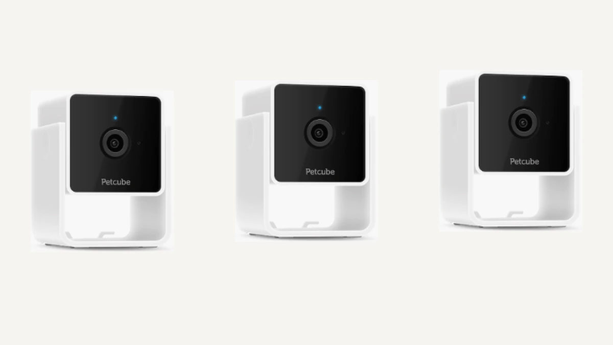 One, two and three Petcube camera setup comparison