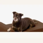 Barker Beds Junior Orthopedic Dog Bed Headrest Edition