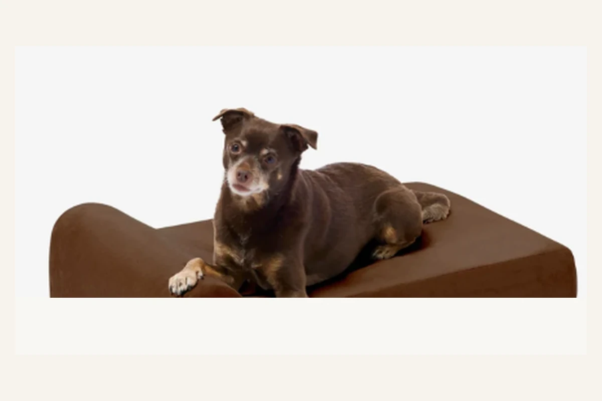 Barker Beds Junior Orthopedic Dog Bed Headrest Edition
