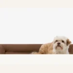 Barker Beds Junior Orthopedic Dog Bed Sofa Edition