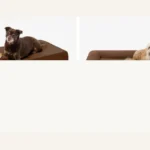 Barker Beds Junior Orthopedic Headrest and Sofa styles