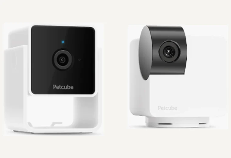 Petcube Cam and Petcube Cam 360 comparison image