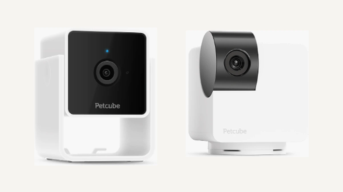 Petcube Cam and Petcube Cam 360 comparison image