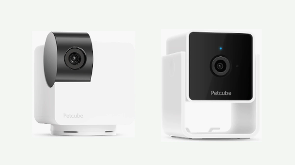 Petcube cameras used with Petcube Care subscription guide