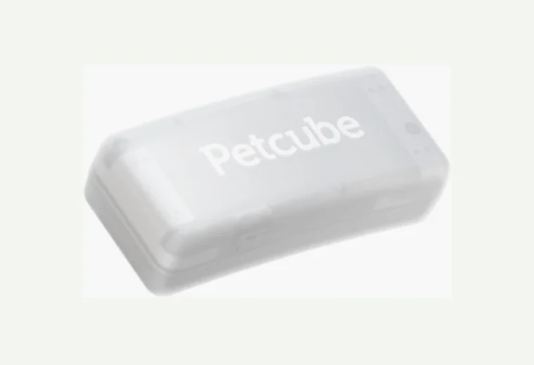 Petcube GPS Tracker subscription guide image