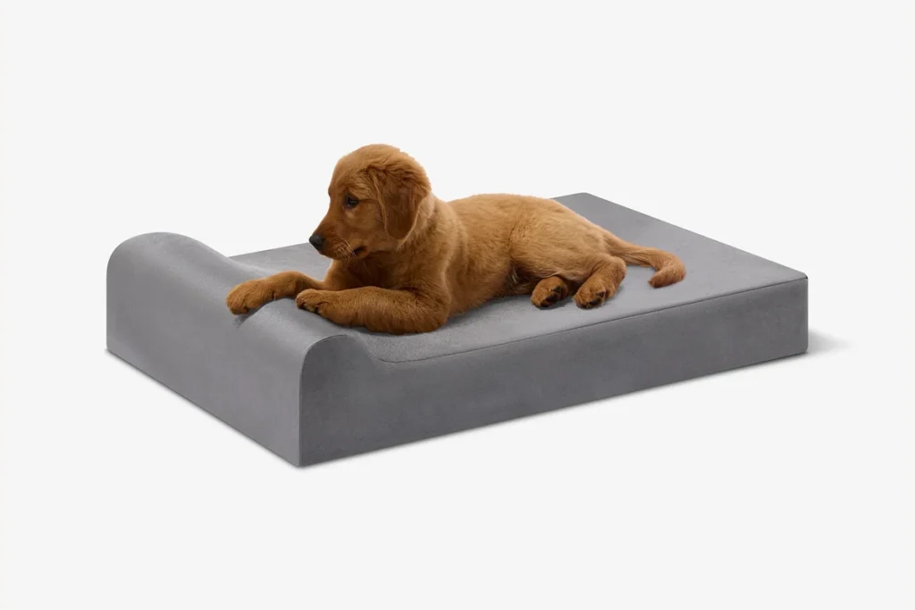 Barker Beds Puppy Bundle Junior Headrest orthopedic bed with a puppy