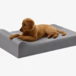 Barker Beds Puppy Bundle Junior Headrest orthopedic bed with a puppy