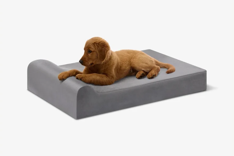 Barker Beds Puppy Bundle Junior Headrest orthopedic bed with a puppy