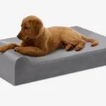 Barker Beds Puppy Bundle orthopedic bed close view with a puppy