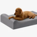 Barker Beds Puppy Bundle orthopedic bed alternate view with a puppy